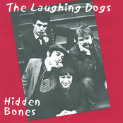 Working Girl by The Laughing Dogs