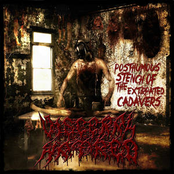 Posthumous Stench Of The Extirpated Cadavers