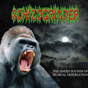 The Sweet Sounds Of Musical Destruction
