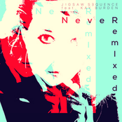Never (Nature of Wires Remix)