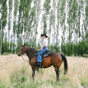 Pause Button - Single