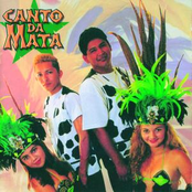 Canto Da Mata