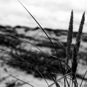 Untitled I