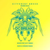 Never Stop (S.P.Y Remix) / Hustle (Synergy Remix)