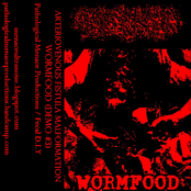 Wormfood (DEMO #3)