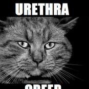 urethra creep