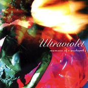 Memoirs of a Psychopath