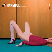 I Remember You by Harmful