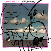 Fat Animals