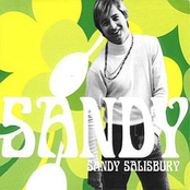 Baby Listen by Sandy Salisbury