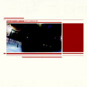 Study of a Ladybug on a Rope