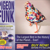 Purple Pigeon by Pigeon Funk