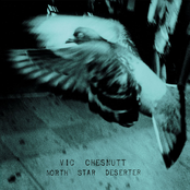 Rattle by Vic Chesnutt