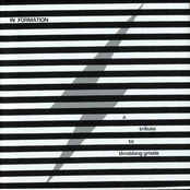 In Formation - a TributeTo Throbbing Gristle