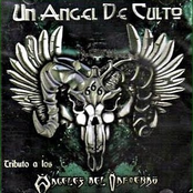 Un Angel de Culto