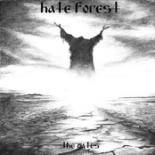 In Cold Empty Darkness by Hate Forest