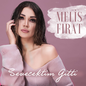 Sevecektim Gitti