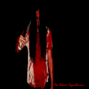 The Black Republicans