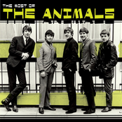 The Most of the Animals Album Picture