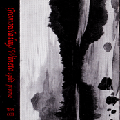 Gromowładny / Wineta