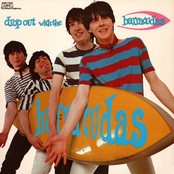 Drop Out With The Barracudas Album Picture