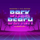 Back To The Beach (DJ Chappie Edit)