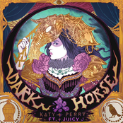 Dark Horse Album Picture