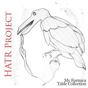 My Formica Table Collection