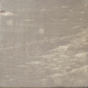 ホンタテドリ (Hontatedori)