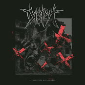 Livslustens katakomber