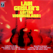 Guitar Wonderland 1