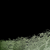 split ox scapula/conger conger