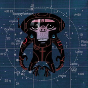 laika come home