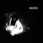 Noir Désir