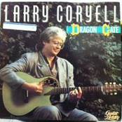 And She Loved Him by Larry Coryell