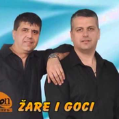 Žare i goci