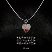 Señorita Corazón Venganza - Single