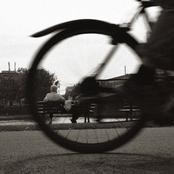 Distraído Concentrado