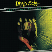 The Dead Boys: Young Loud and Snotty