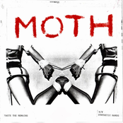 Synthetic Hands by Moth