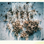 moon palace