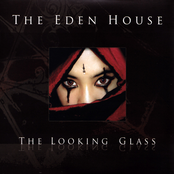 The Looking Glass