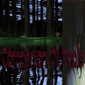 Companion of Fools: Demo