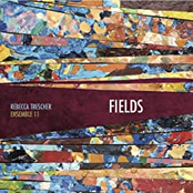 Fields (Ensemble 11)