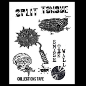 Collections Tape