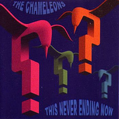 Moonage Daydream by The Chameleons