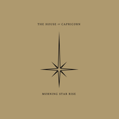 Ivory Crown by The House Of Capricorn