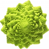 the romanesco theme