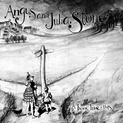 Angus and Julia Stone: A Book Like This