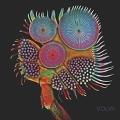 Volva